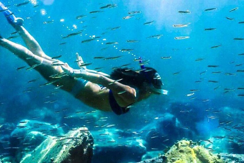 A person scuba diving underwater with fish swimming around. 2