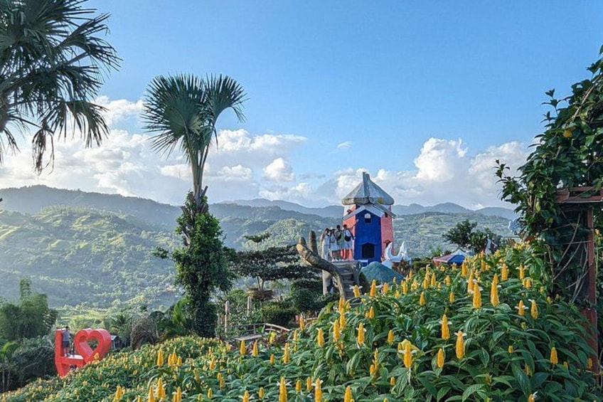 Cebu City with Sirao Garden Half Day Tour 5