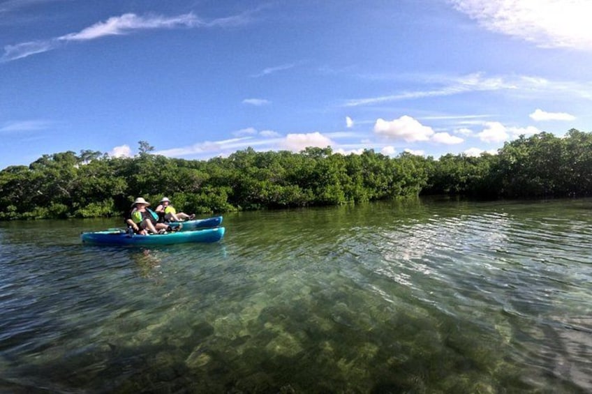 Deux personnes pratiquent le kayak sur une rivière paisible, entourée d’une végétation luxuriante. 4