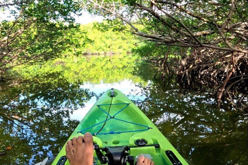 Un kayak vert sur lequel se tient une personne, entouré d’arbres et d’eau. 1