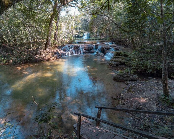 A forested area with a small waterfall and a wooden bridge. 5