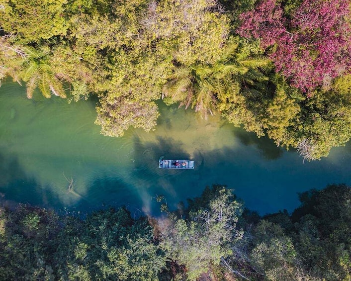 An aerial view of a river surrounded by dense, colorful foliage. 4