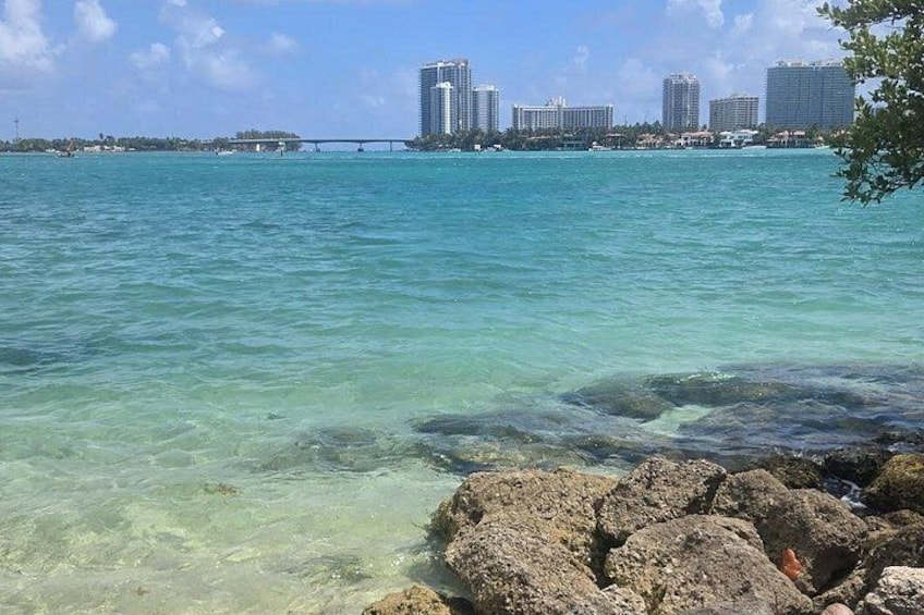 Raccoon Island Exploration on SUP/Kayak 2