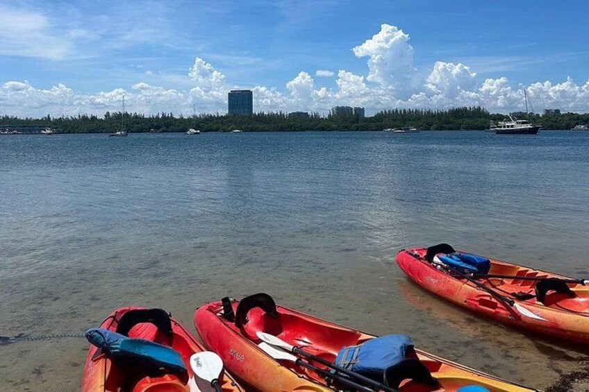 Raccoon Island Exploration on SUP/Kayak 3