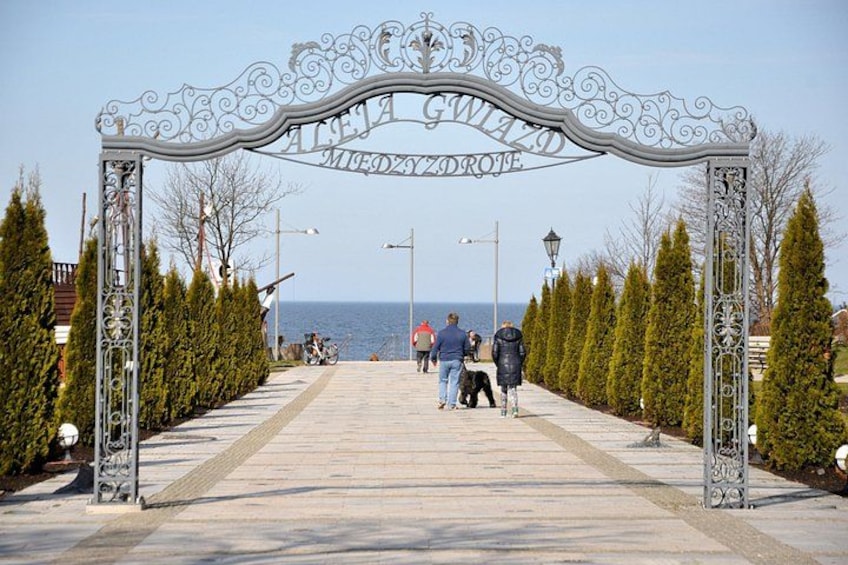 A paved pathway with a decorative metal archway, lined with trees, leading towards a body of water. 1