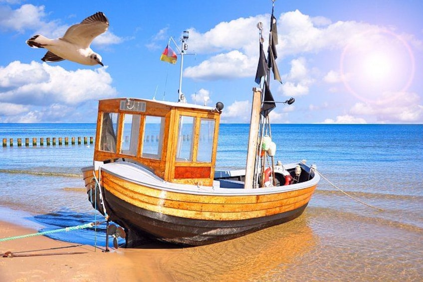 A wooden boat on a sandy beach with a clear blue sky and a seagull flying overhead. 4