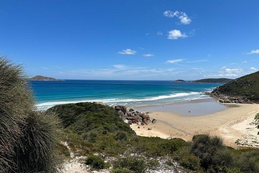 Wilsons Promontory Wilderness Day Tour 2