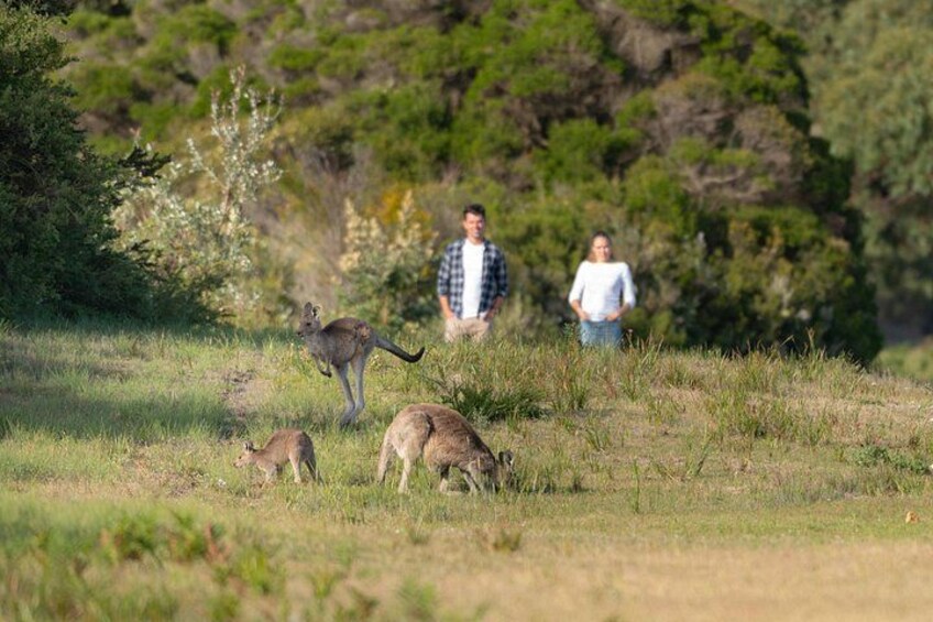 Wilsons Promontory Wilderness Day Tour 5