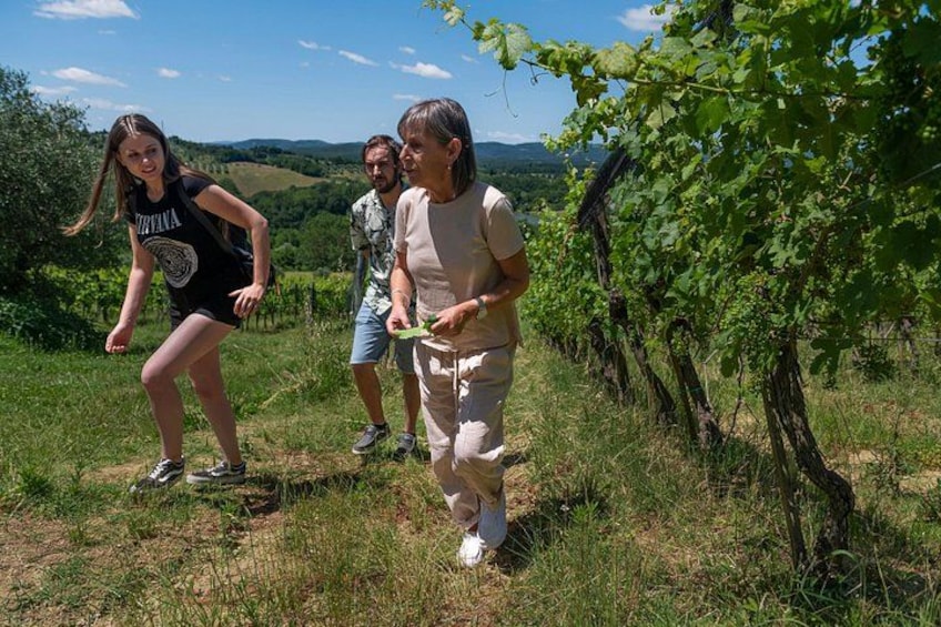 Winery tour - organic farming 3