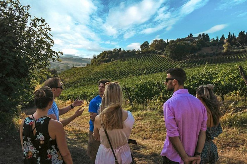 Winery Tour and Wine Tasting in Siena 1