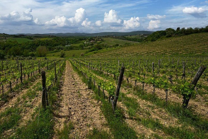 Organic farming since 2000 2