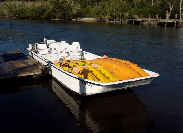 Picture 1 for Activity Everglades: Boat Assisted Kayak Eco Tour 2