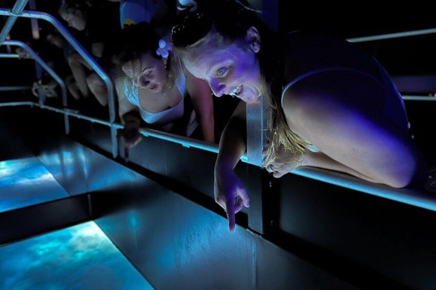 Airlie Beach Glass Bottom Boat Guided Night Tour 1