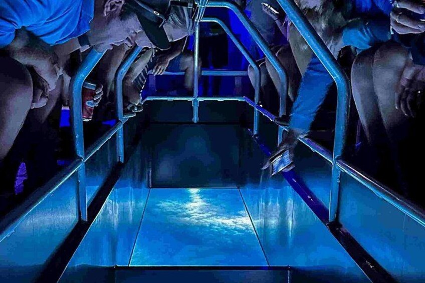 Airlie Beach Glass Bottom Boat Guided Night Tour 2