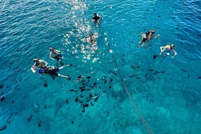 Learning how to snorkel in the clear waters of Waikiki 3