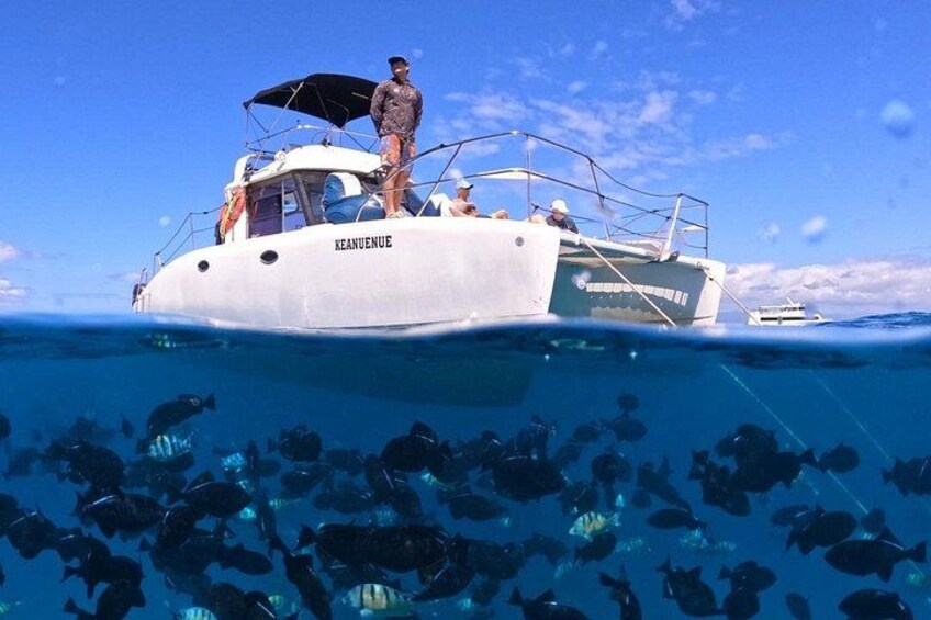 Catamaran at turtle snorkel spot in Waikiki 4