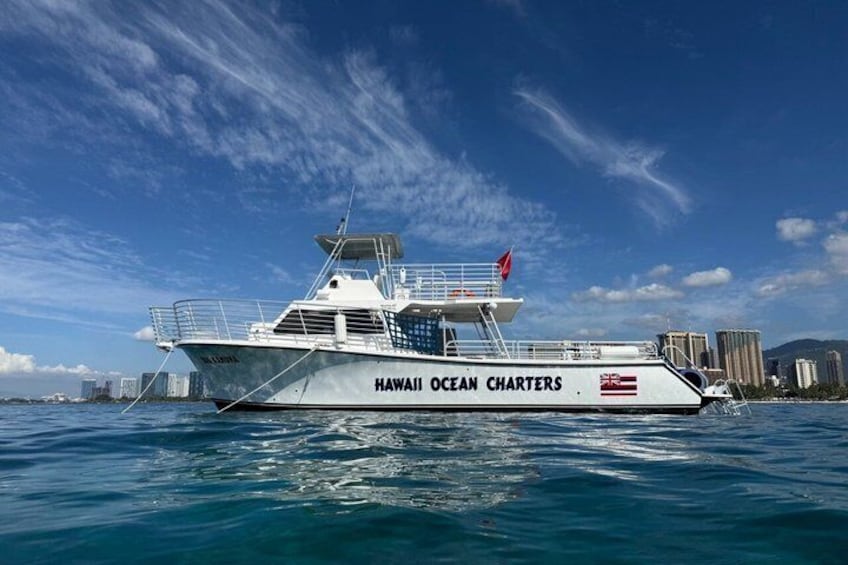 Waikiki: Small Group Turtle Canyon Snorkel Boat Tour 2