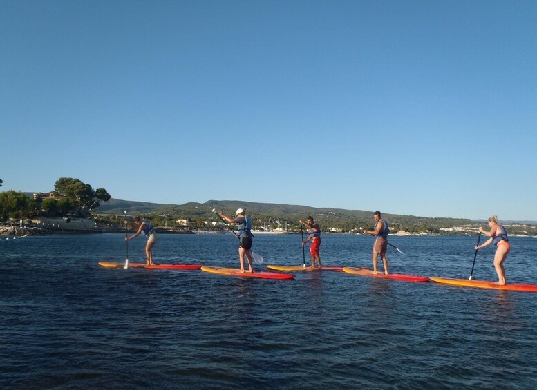 People paddleboarding on a calm body of water with a coastal landscape in the background. 1