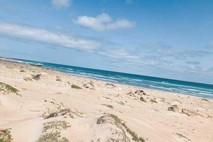 Una playa arenosa con rocas dispersas y vegetación escasa. 4