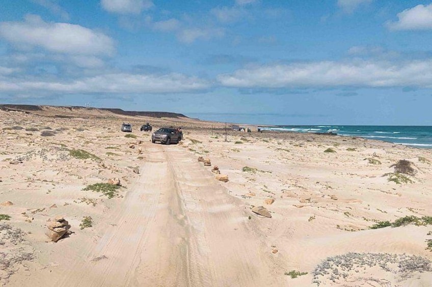 Paisaje desértico con un camino de tierra y vehículos. 5