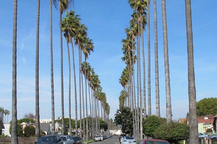 Crenshaw / South LA Sightseeing & Black History Driving Tour 3