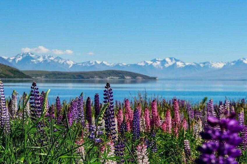 Lake Tekapo to Mt Cook One-Way Small Group Tour 5