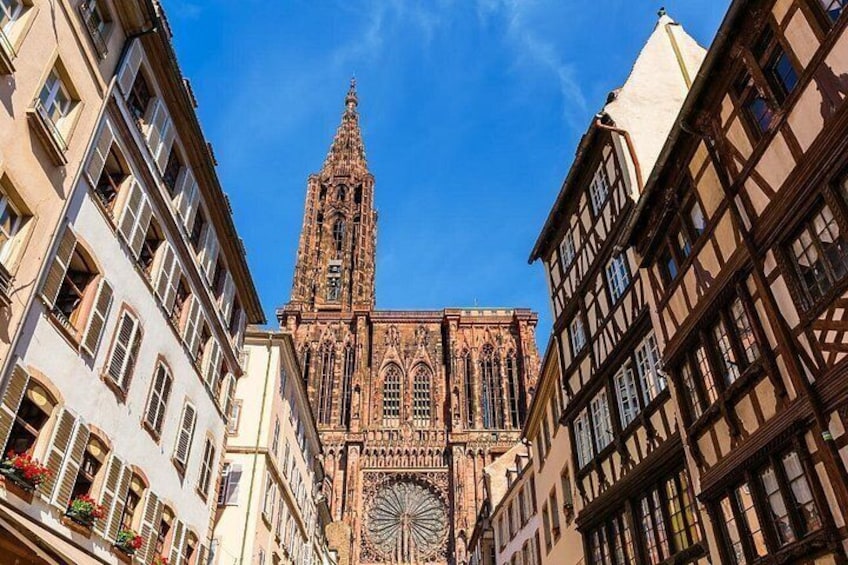 Gourmet Bike Tour with a Locals in Strasbourg 3