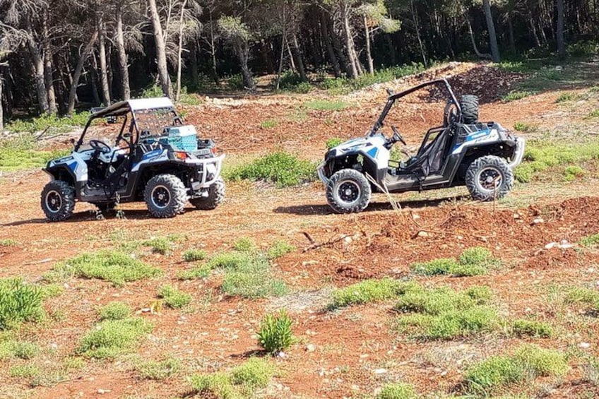 Two off-road vehicles on a dirt path with sparse vegetation and trees in the background. 2