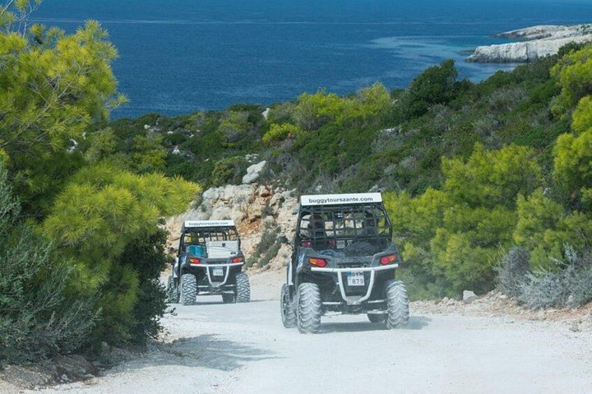 Self-Driving Off-Road Buggy Tour with Experienced Guide 4