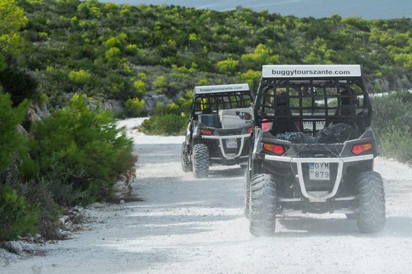 Self-Driving Off-Road Buggy Tour with Experienced Guide 5