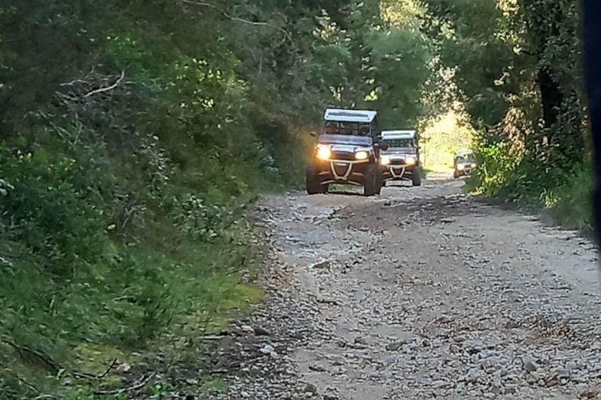 Two off-road vehicles on a gravel path surrounded by dense greenery. 5