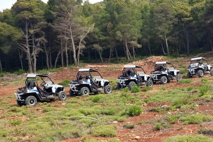 Self-Driving Off-Road Buggy Tour with Experienced Guide 2