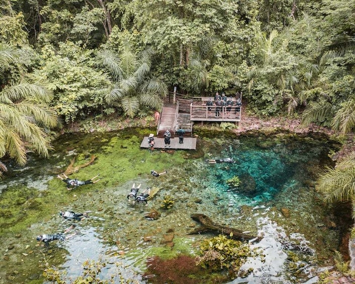 Picture 1 for Activity Bonito: Nascente Azul Lake Snorkeling & Activities 4