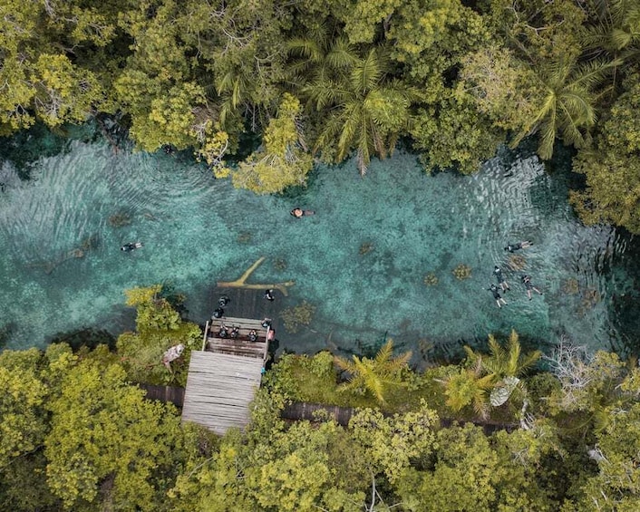 Bonito: Nascente Azul Lake Snorkeling & Activities 1