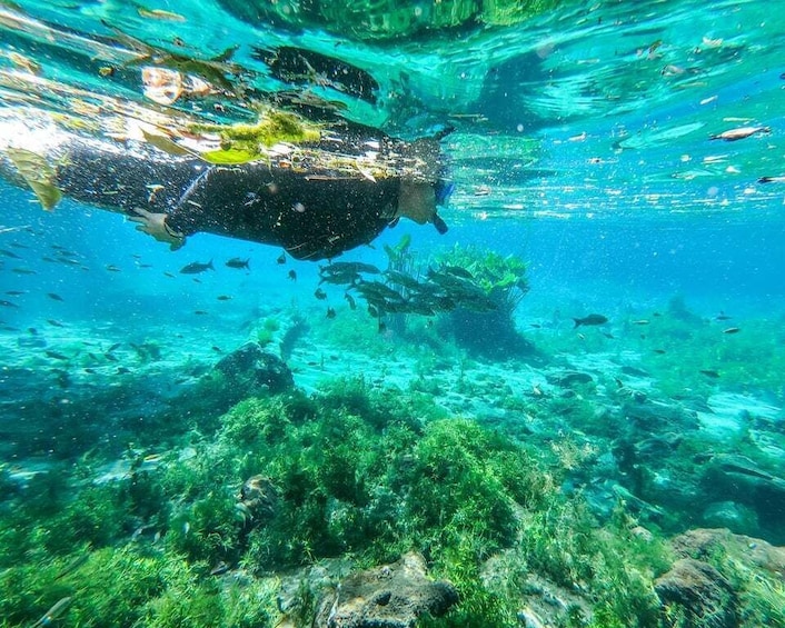 Picture 2 for Activity Bonito: Nascente Azul Lake Snorkeling & Activities 5