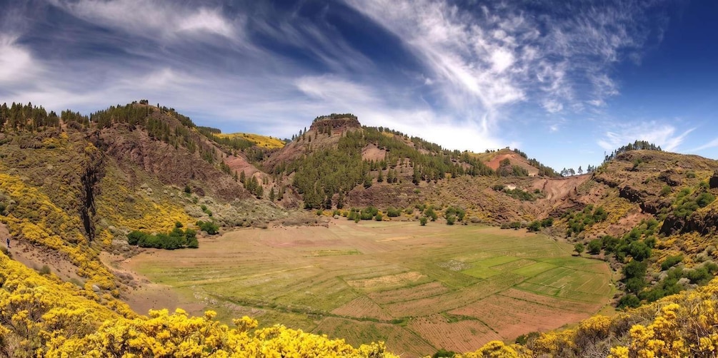 Picture 5 for Activity Gran Canaria: Island Highlights Tour with Optional Lunch 5