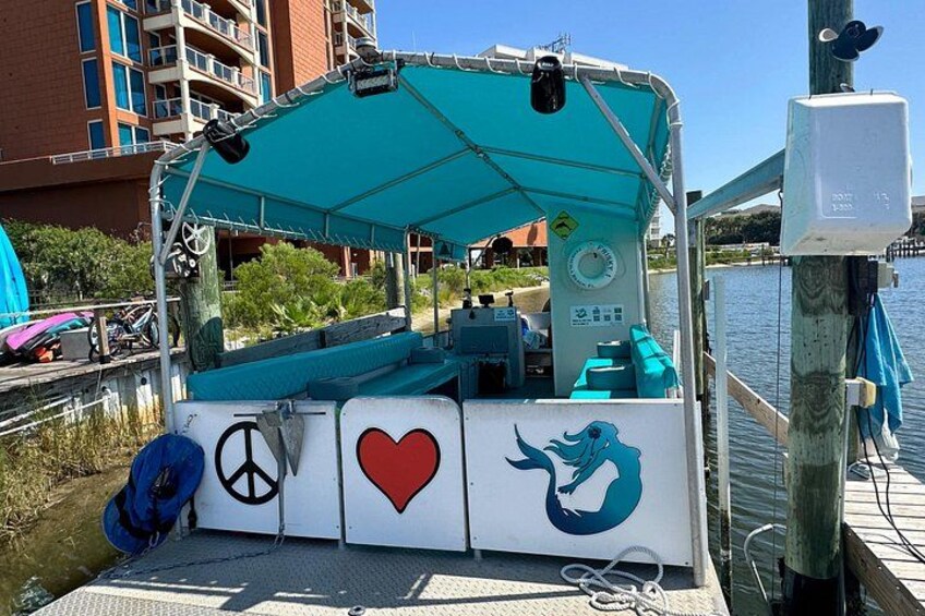 Pensacola Excursion: Dolphin Tour, Reef Snorkeling & Beach Stop 2