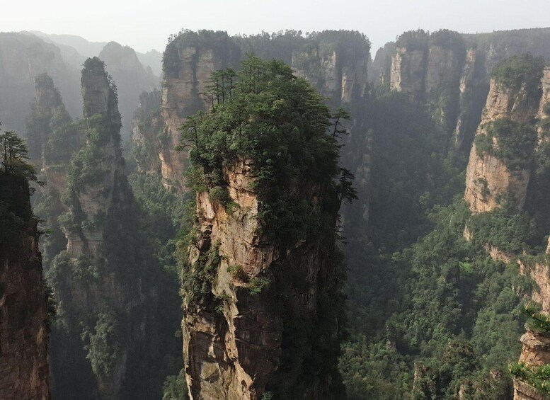 Picture 16 for Activity Zhangjiajie: 1-Day Zhangjaijie Tour from Chongqing by Train 1