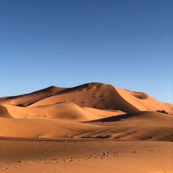 A desert landscape with sand dunes under a clear sky. 5