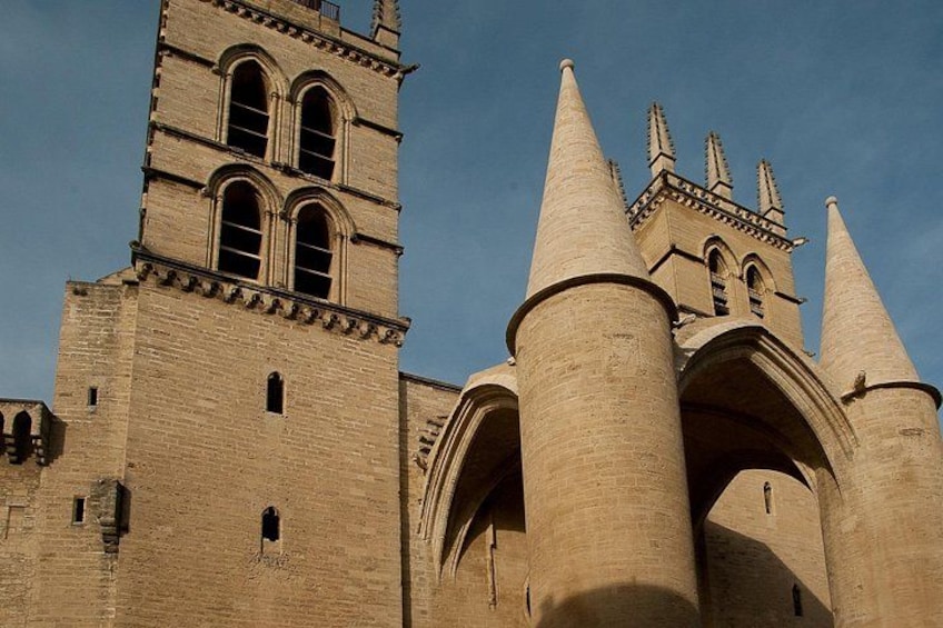 Private Historic Walking tour in Montpellier 1
