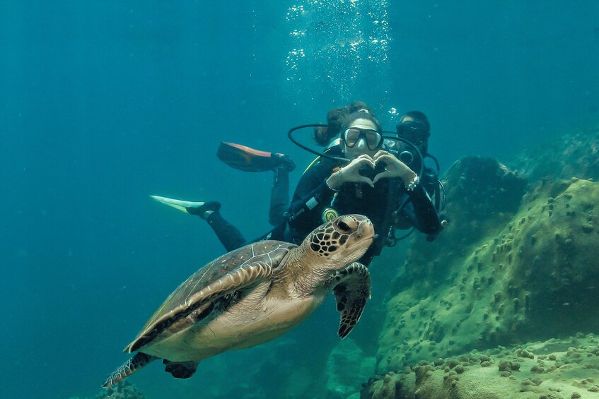 Picture 2 for Activity Paraty: Discovery Scuba Diving Experience for Beginners 4