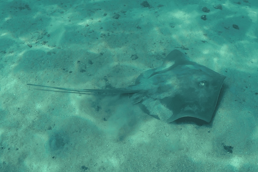Picture 10 for Activity Paraty: Discovery Scuba Diving Experience for Beginners 2