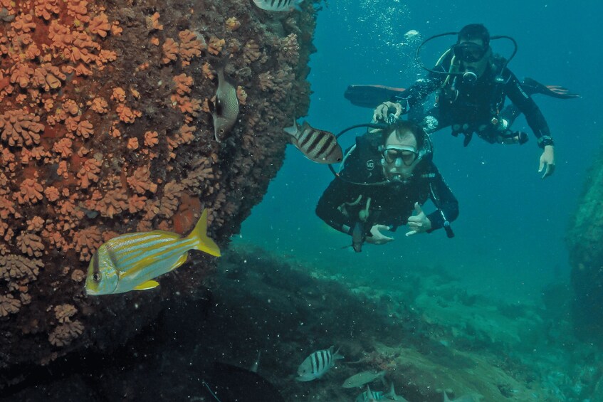 Picture 9 for Activity Paraty: Discovery Scuba Diving Experience for Beginners 3