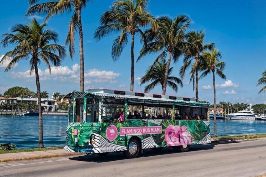 Flamingo Bus Miami Open-Air Trolley | 2-Hour Miami Bus Tour 5