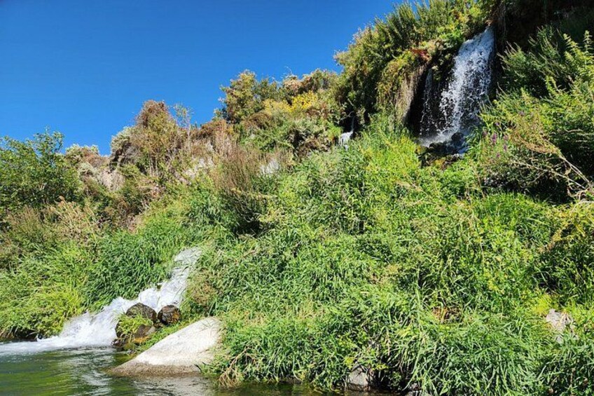 A waterfall, dense greenery, and a river. 3