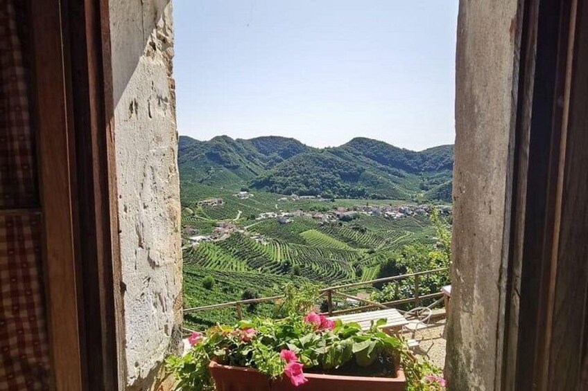 Paisaje rural con campos en terrazas y montañas al fondo. 2