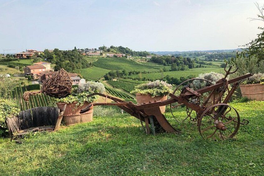 Paisaje rural con un tractor antiguo, una cesta y una carretilla en un campo cubierto de hierba. 3