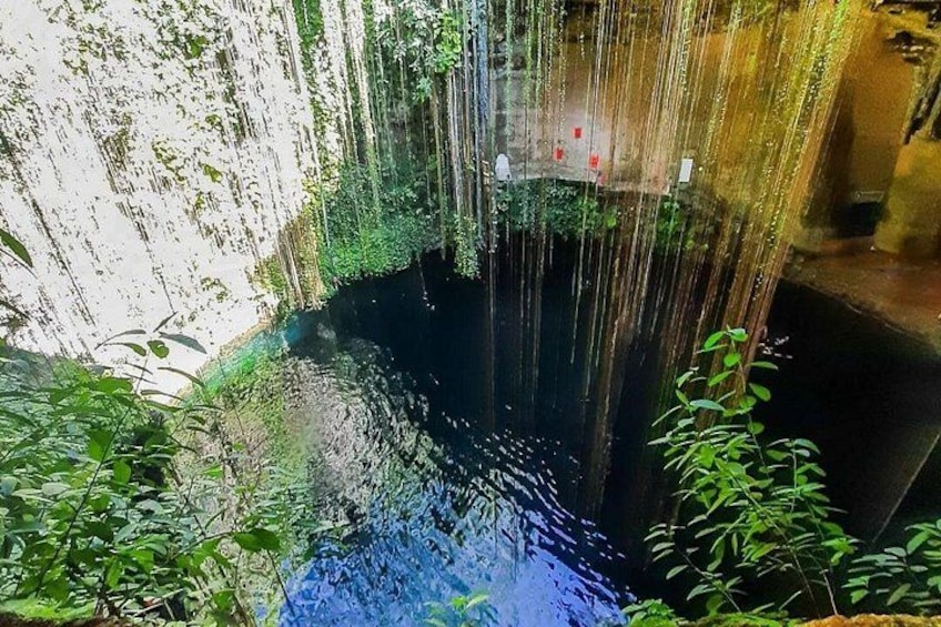 Una cascata che si getta in una pozza scura circondata da vegetazione lussureggiante. 4