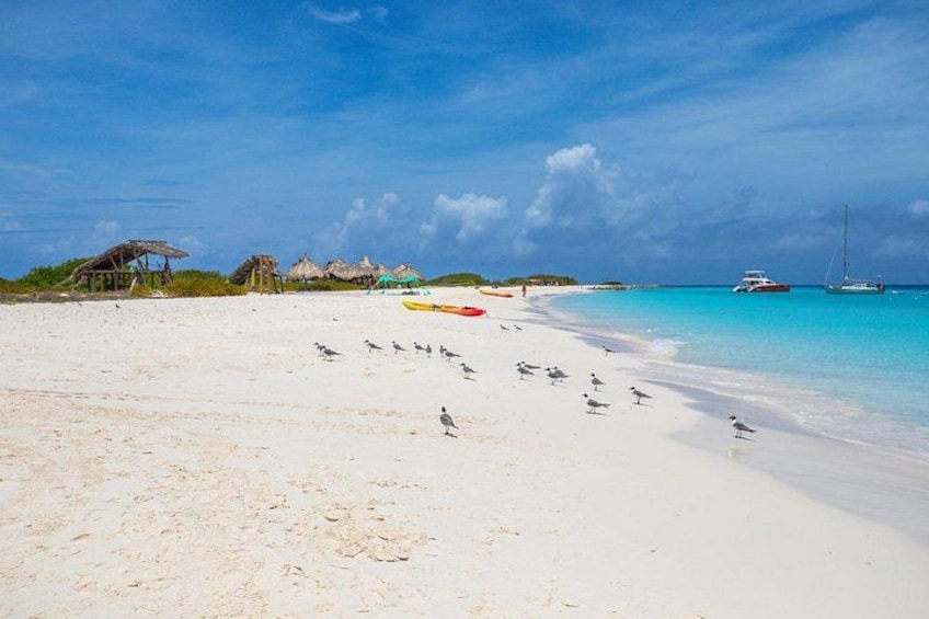 Visit Klein Curacao's mile long white sandy beach 1