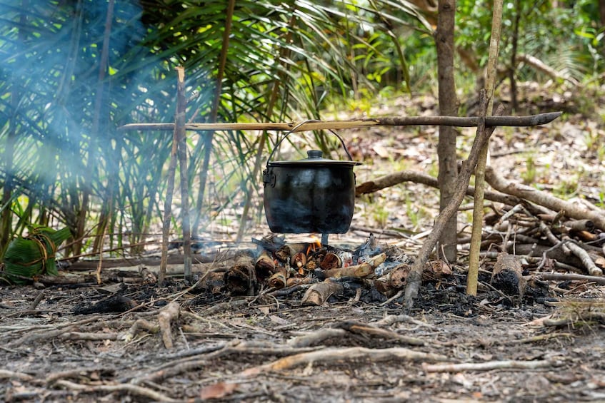 Picture 27 for Activity Manaus: Multi-Day Amazon Survival Trip with Camping 3